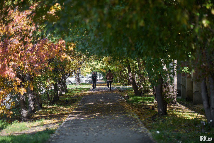 Тротуары также привели в порядок