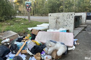 Из-за отходов, которые нельзя выгружать в обычные мусорные контейнеры, часто образуются стихийные свалки