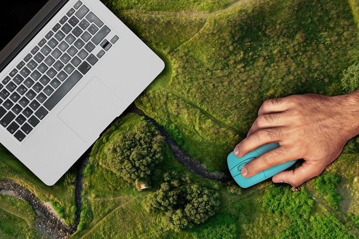 Сегодня специалисты лесной отрасли востребованы по всей стране