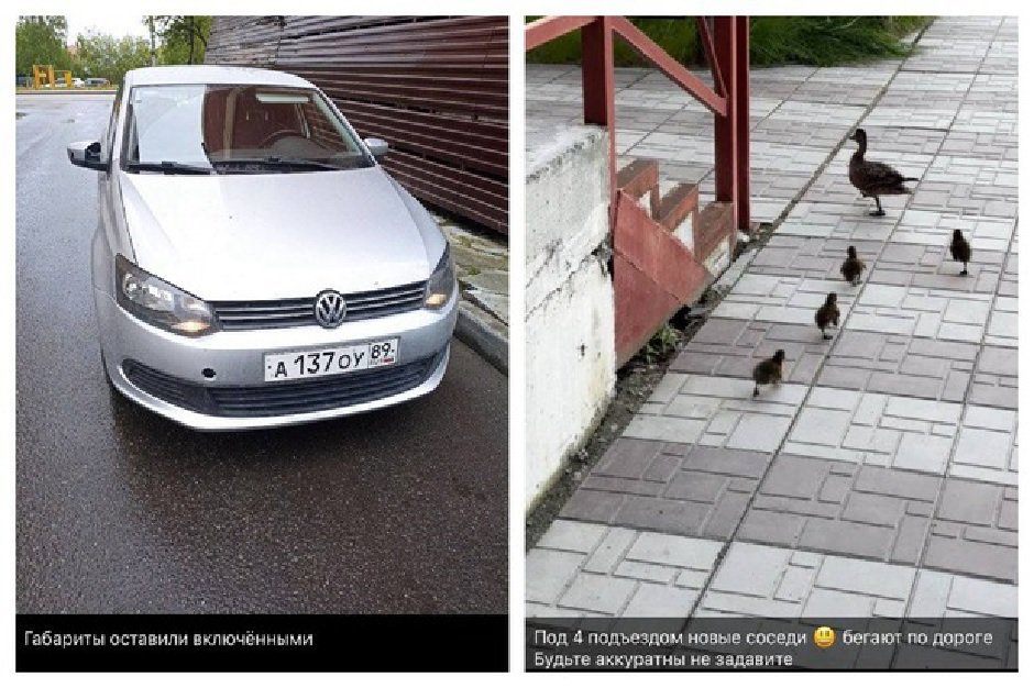 В доброжелательных соседских чатах соседи проявляют заботу друг о друге и общедомовом пространстве. Скриншоты Анастасии Дитц В доброжелательных соседских чатах соседи проявляют заботу друг о друге и общедомовом пространстве. Скриншоты Анастасии Дитц