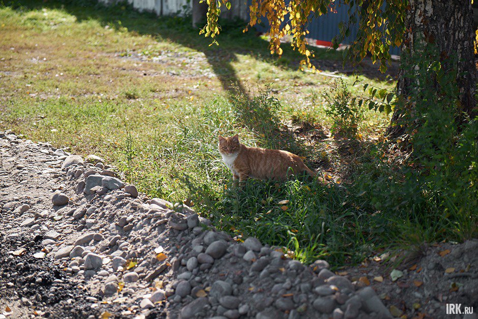 Работы провели на двух участках дороги