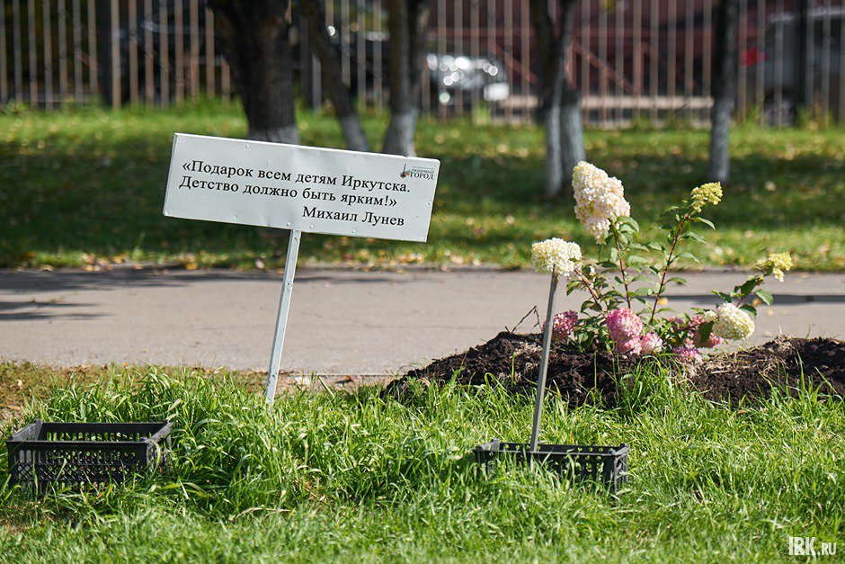 Озеленение