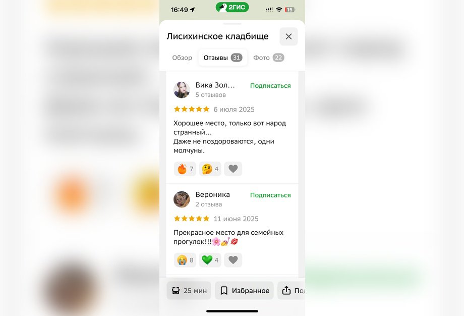 Скриншот с сайта 2gis.ru*