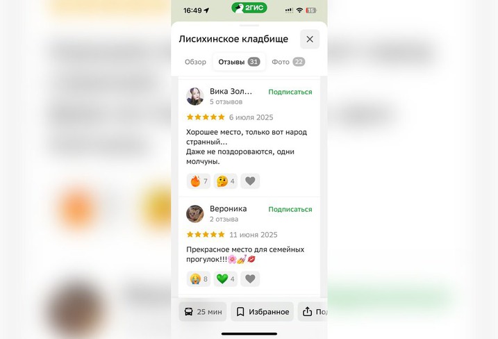 Скриншот с сайта 2gis.ru*