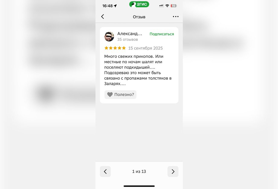 Скриншот с сайта 2gis.ru*