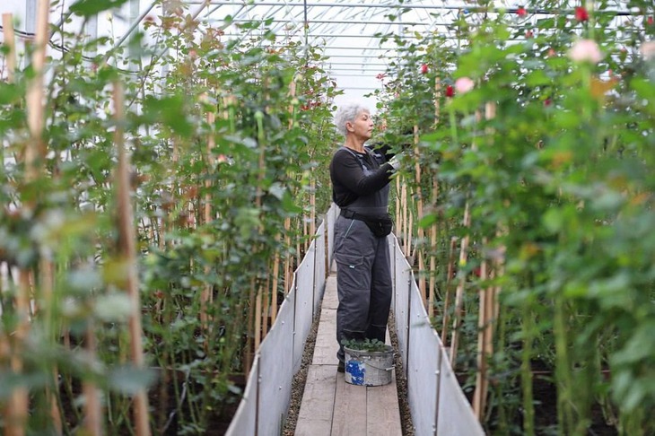 Цветы. Фото пресс-службы администрации Иркутска