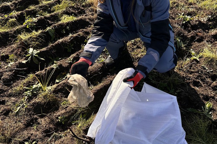 Уборка. Фото «СтройПроектСервис»