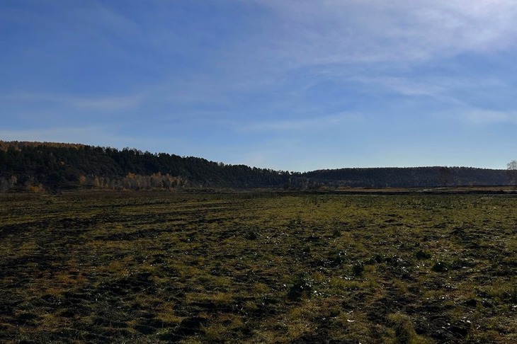 Остров Березовый. Фото «СтройПроектСервис»