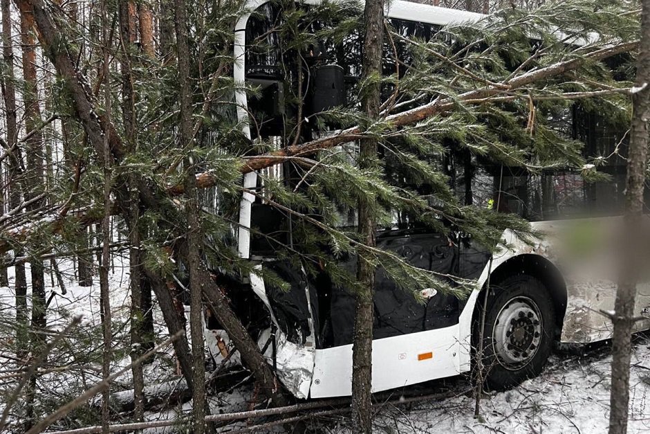 Фото Госавтоинспекции региона