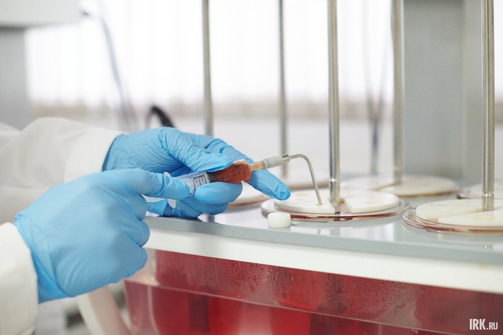 Катерина Шишкина: «В нашей работе, где на кону стоит качество лекарственных препаратов, нельзя позволить новым сотрудникам тонуть в проблеме»