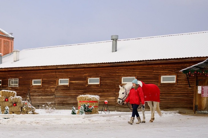 Фото Фонда Тихомировых