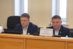 Депутаты. Фото IRK.ru