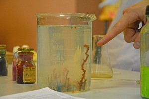 Фото пресс-службы ИГУ