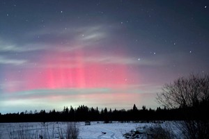 Возле деревни Худякова. Фото: Елизавета Щетская