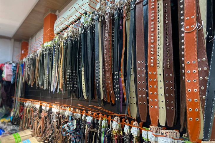 Поводки и ошейники