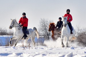 Фото Фонда Тихомировых