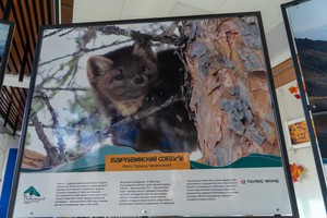 Фото пресс-службы компании «Полюс Сухой Лог»