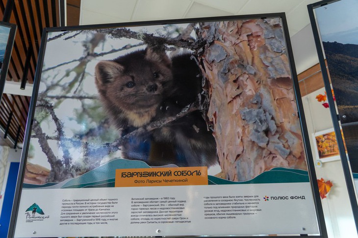 Фото пресс-службы компании «Полюс Сухой Лог»