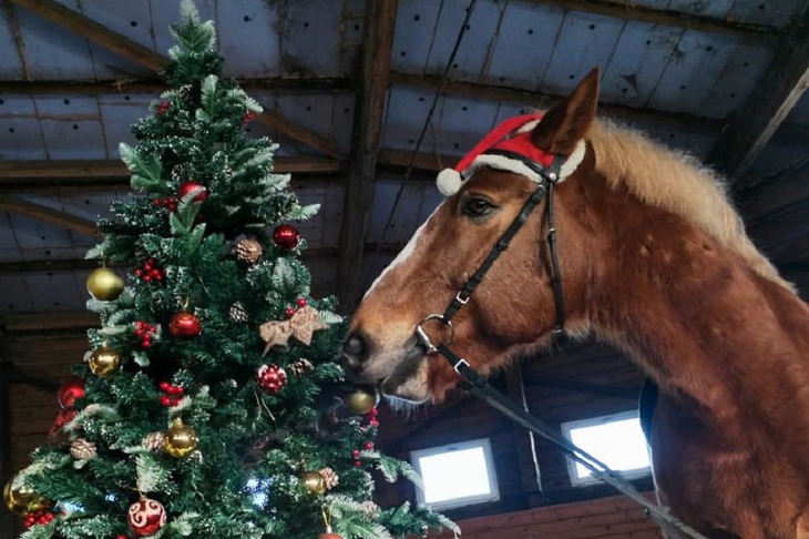 Фото Фонда Тихомировых