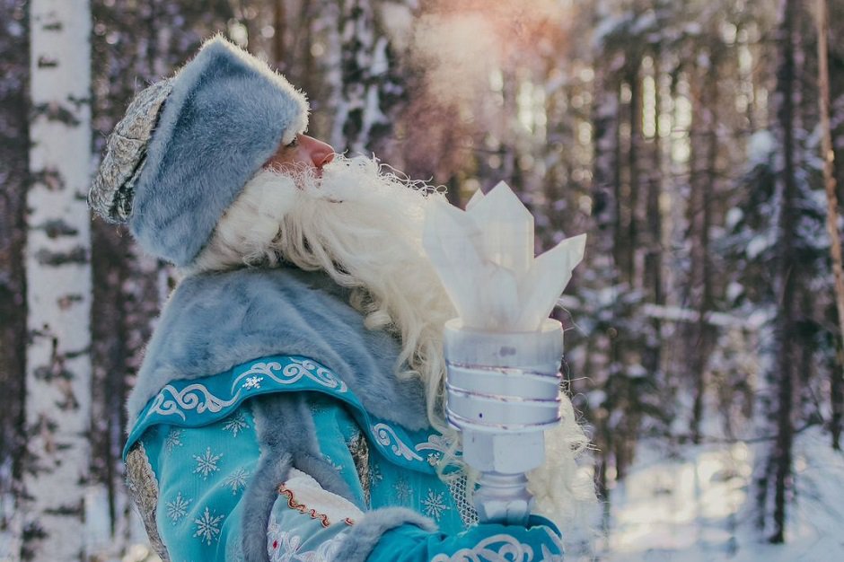 Фото «Лес Чудес»