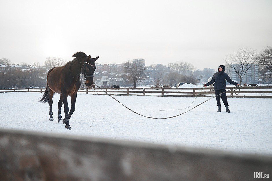 Дарья тренирует Хенди Харта