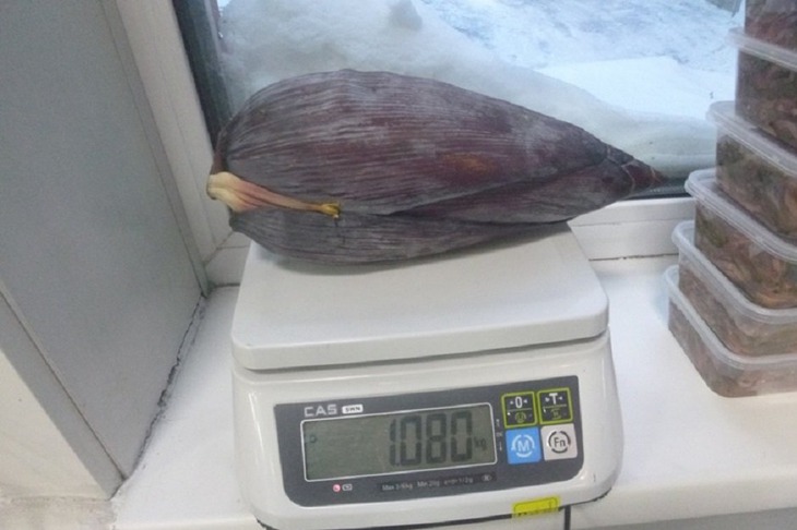 Фото пресс-службы Иркутской таможни