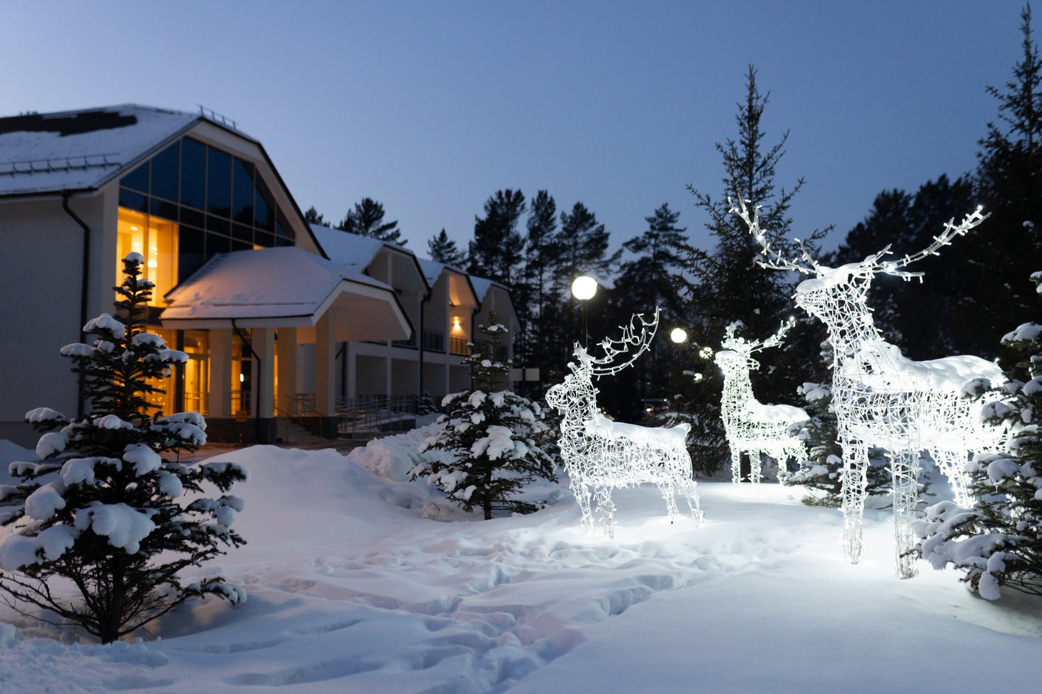 Ни один волшебный момент новогодней саги не останется за кадром