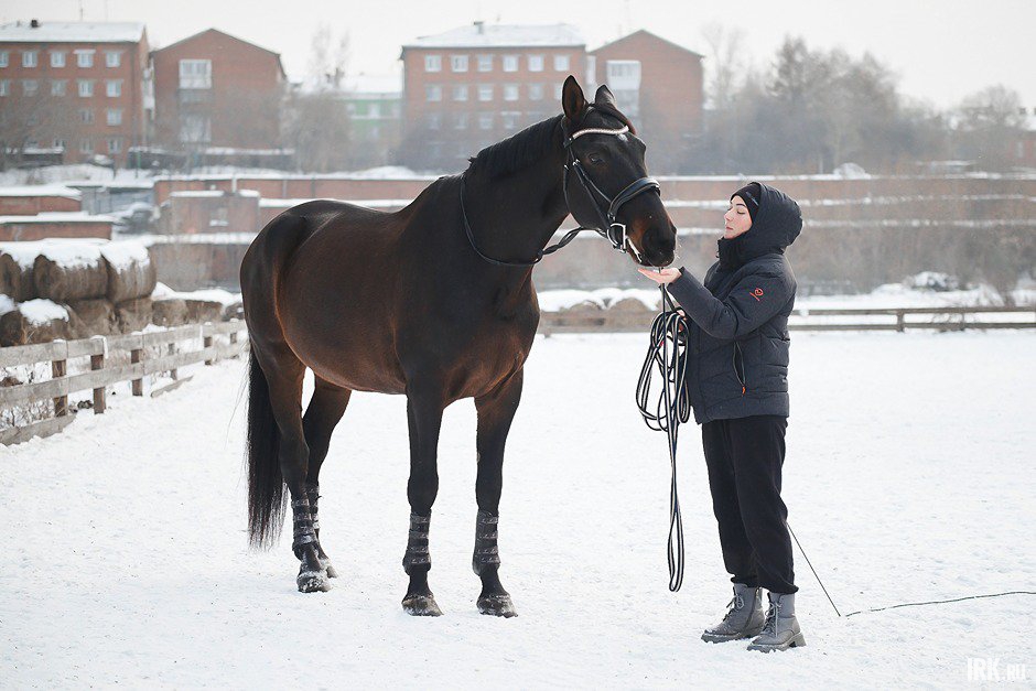 Поощрение вкусняшками