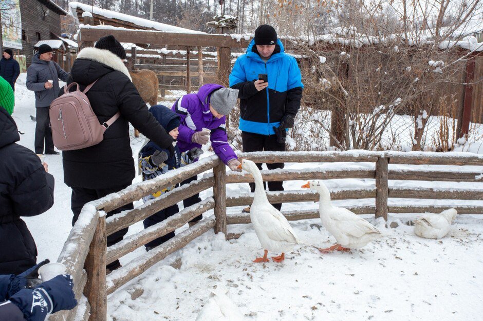 Фото предоставлено «Иркутским Зоосадом»