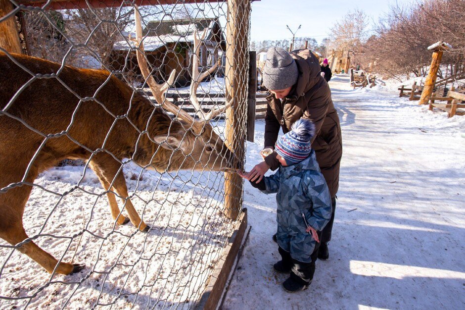 Фото предоставлено «Иркутским Зоосадом»