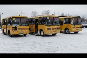 Автобусы. Фото Александра Новикова