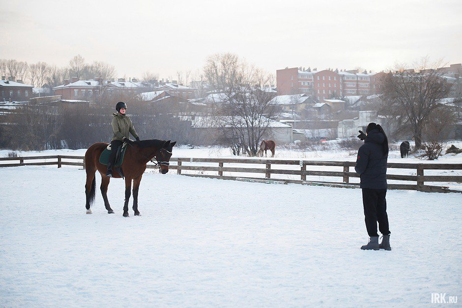 Конь любит похвалу, но иногда может вредничать и не сразу выполнять команды