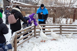 Фото предоставлено ФИБС