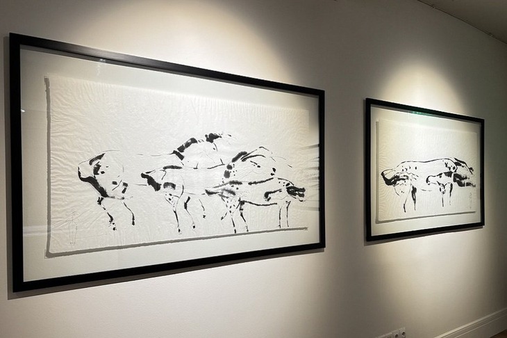 Выставка работ Даши Намдакова. Фото Марины Палеевой, IRK.ru