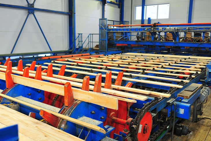 Лесозаготовка. Фото ФРП