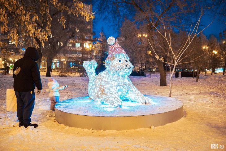 Нерпа. Фото Маргариты Романовой, IRK.ru