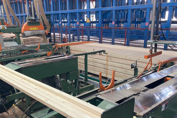 Лесозаготовка. Фото ФРП