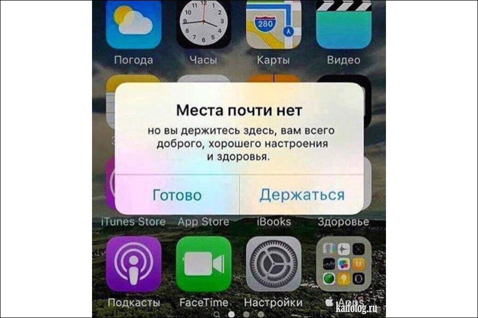 Изображение взято с сайта https://kaifolog.ru/