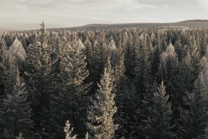 Изображение предоставил Юрий Дорохин