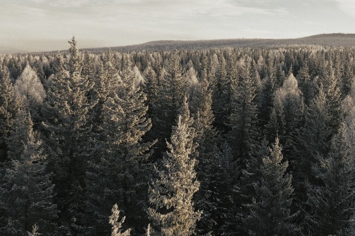 Изображение предоставил Юрий Дорохин