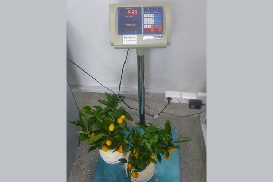 Фото пресс-службы Иркутской таможни