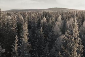 Кадр из фильма