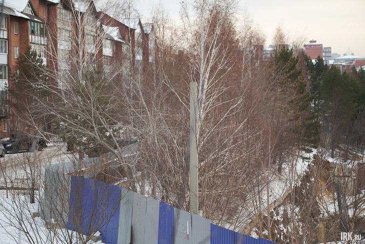 Новый застройщик планирует вырубку деревьев