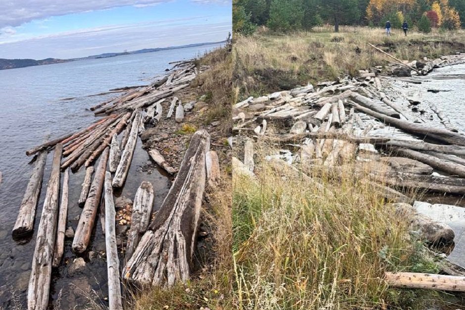 Древесина в водохранилище. Фото пресс-службы Байкальской межрегиональной природоохранной прокуратуры