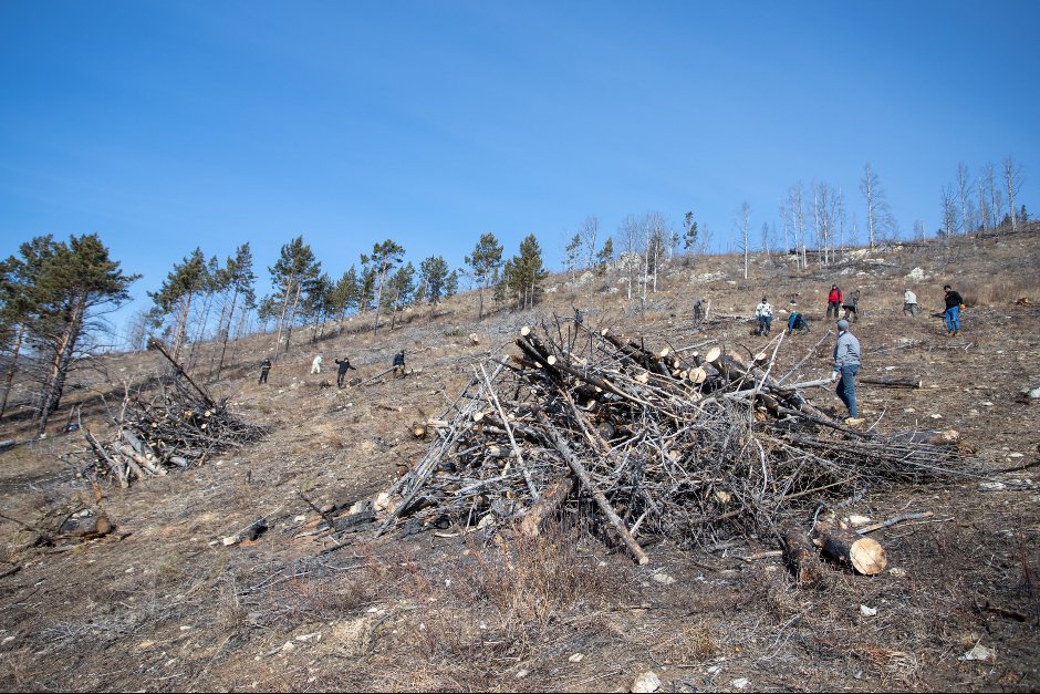 Уборка. Фото пресс-службы БФ «Подари планете жизнь»