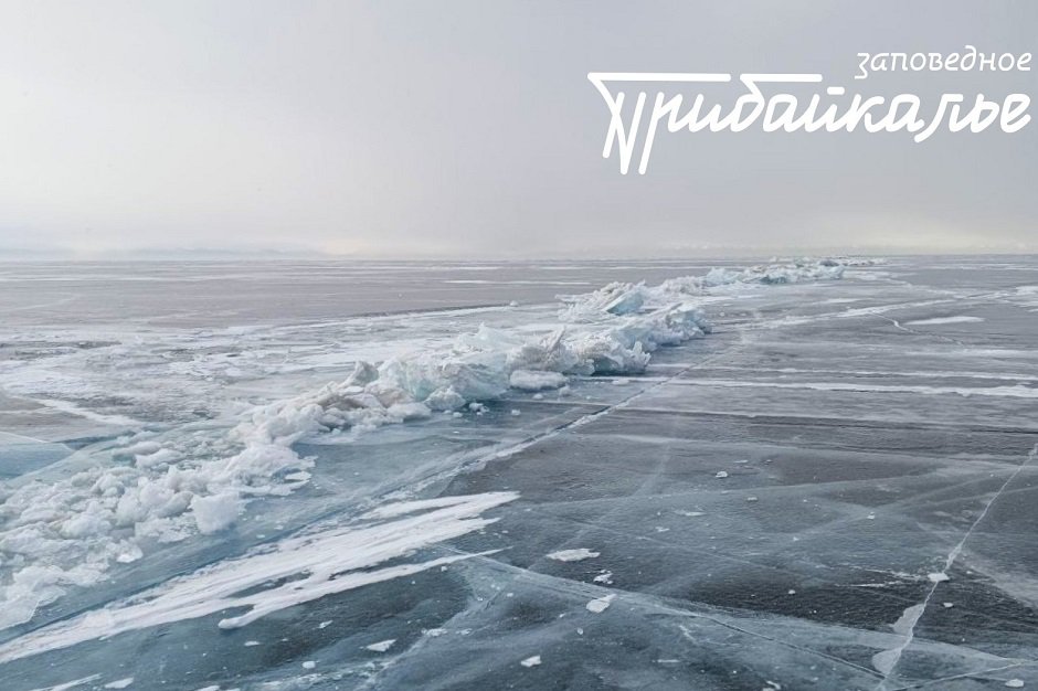 Фото Екатерины Дашиевой, ФГБУ «Заповедное Прибайкалье»