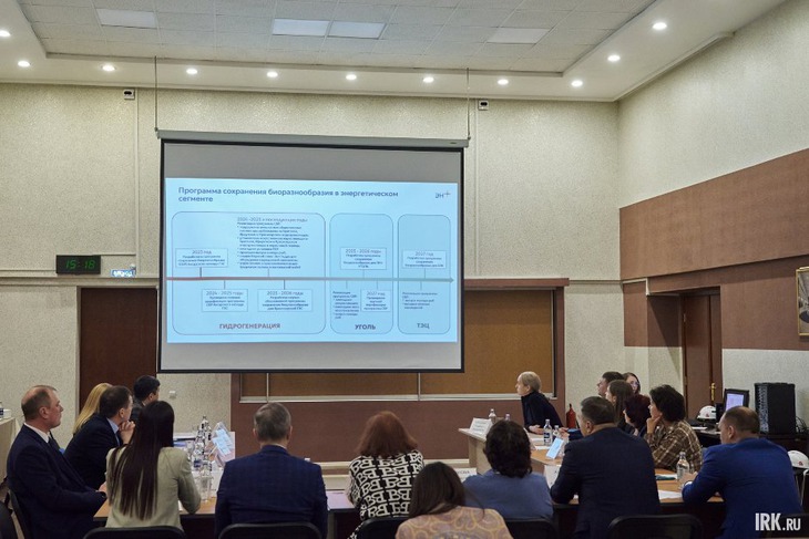 Презентация Эн+ Гидро