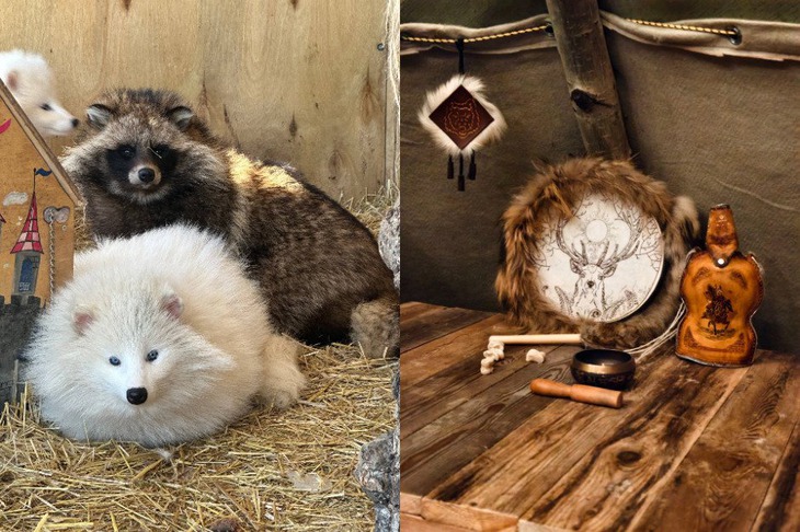 Фото ООО «Сибирский зоопарк»