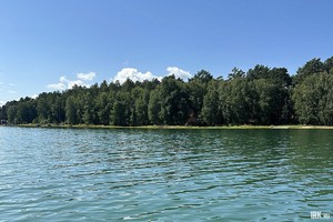 Залив Узкий летом. Фото очевидцев