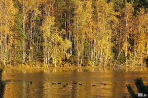 Залив Узкий летом. Фото очевидцев